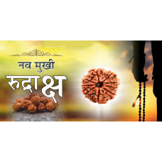 9 Mukhi Rudraksh (5.0)